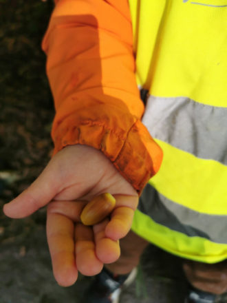 photo (1)